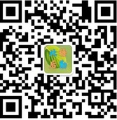 篮球试训前的体能训练方案_0