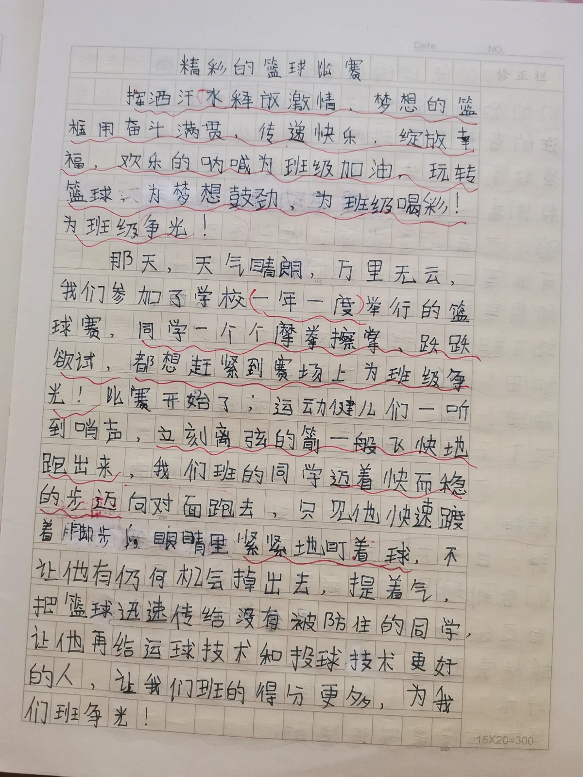 青少年篮球训练精要读后感悟50字左右